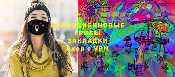 бошки Дмитров