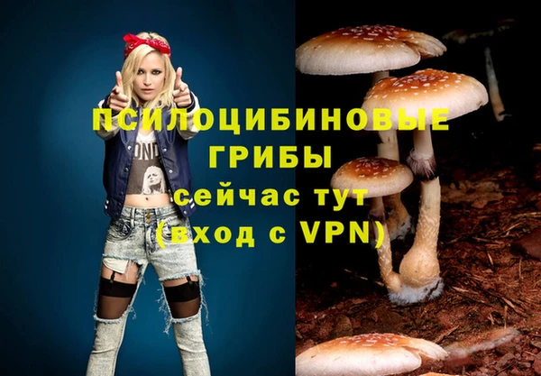 бошки Дмитров