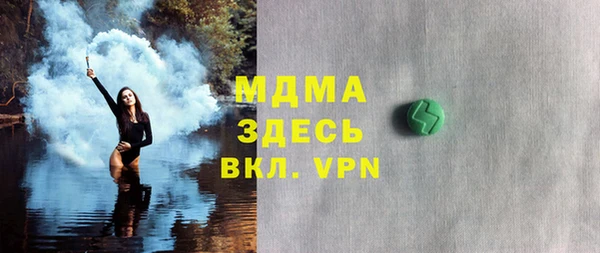 индика Медвежьегорск
