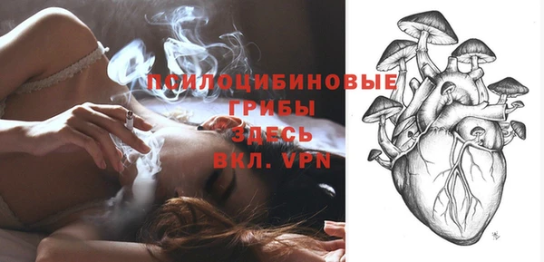 экстази Дмитриев